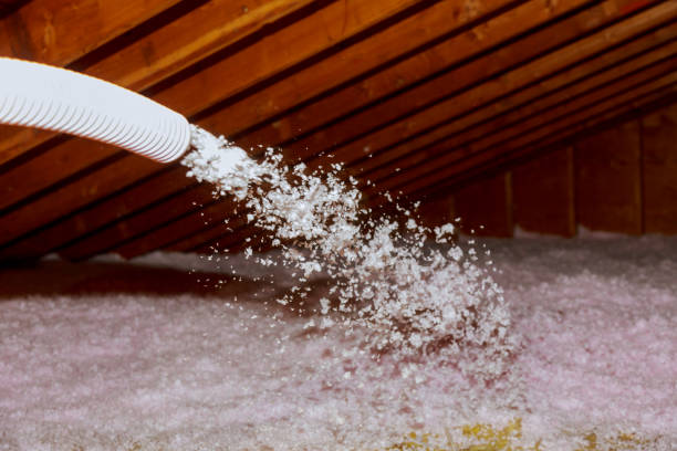 Best Energy Efficiency Solutions in Lemmon, SD